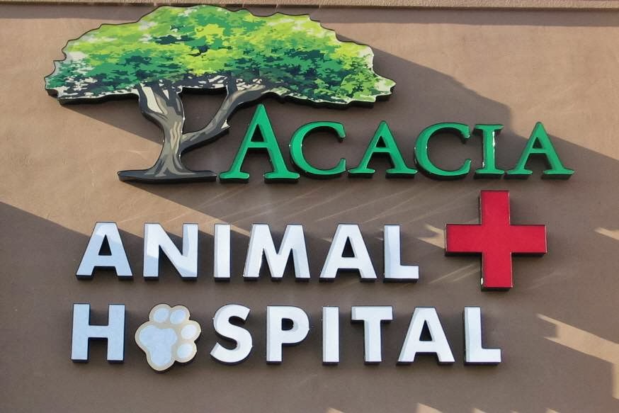 Acacia Animal Hospital - Tucson , United States