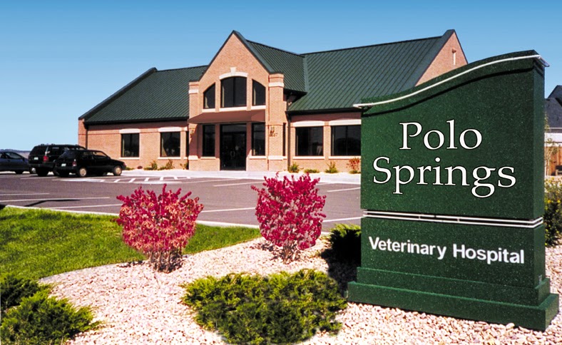 Polo Springs Veterinary Hospital - Colorado Springs , United States