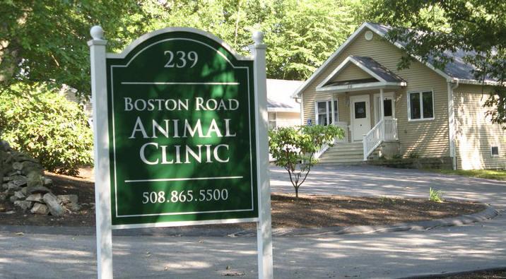 Boston Road Animal Clinic - Sutton , United States