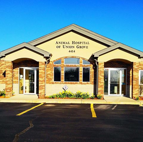 Animal Hospital Of Union Grove - Union Grove , United States