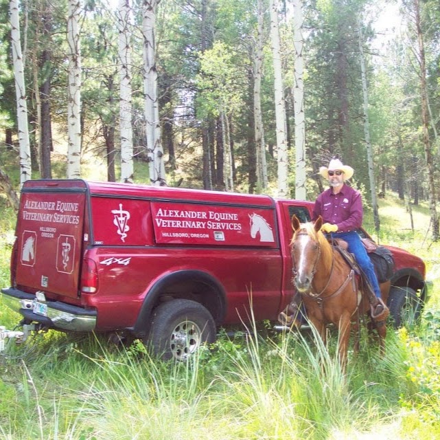 Alexander Equine Vet Services Inc. - Hillsboro , United States