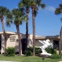 Beaches Animal Clinic - Jacksonville Beach , United States