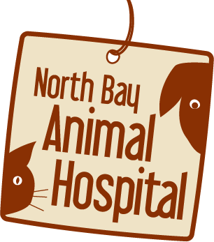 North Bay Animal Hospital - North Bay , Canada