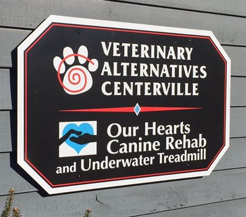 Veterinary Alternatives - Yellow Springs , United States