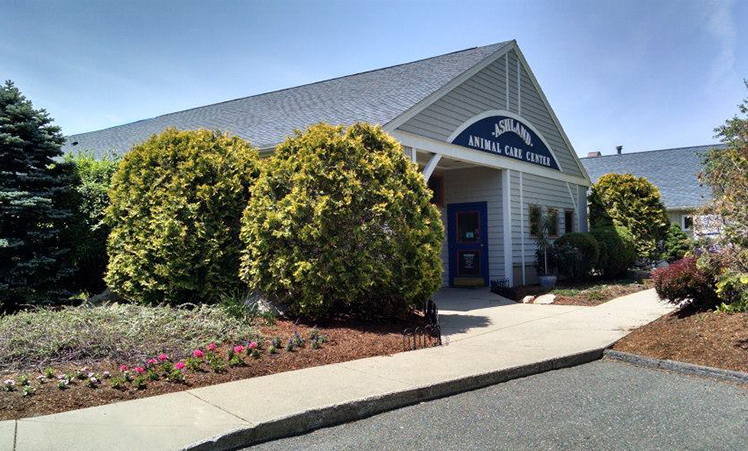 Ashland Animal Hospital - Ashland , United States