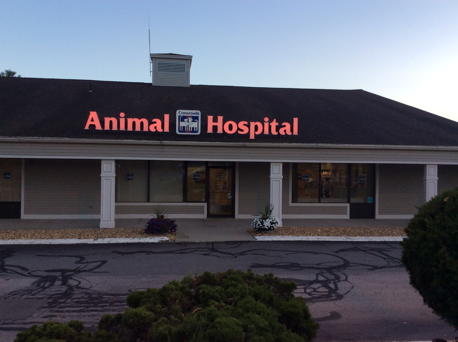 Crossroads Animal Hospital - Londonderry , United States