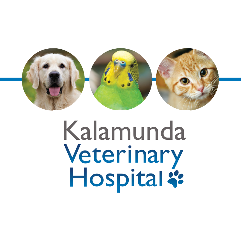 Kalamunda Veterinary Hospital - Kalamunda , Australia