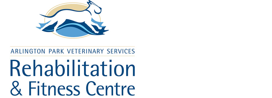 Arlington Park Veterinary Services - Kingston , Canada