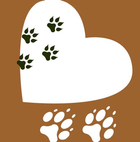 Briarcrest Veterinary Care Center Pllc - Tucson , United States