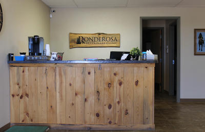Business's Photo