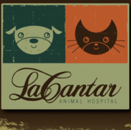 Healing Hands Veterinary Hospital - San Antonio , United States