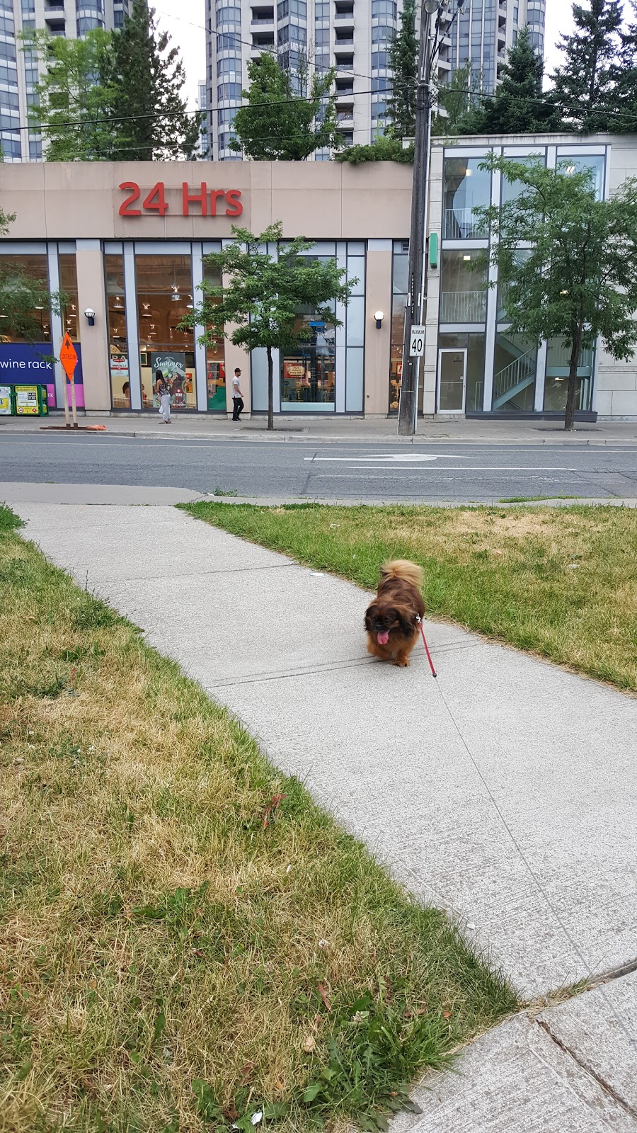Church Yonge Animal Clinic - North York , Canada