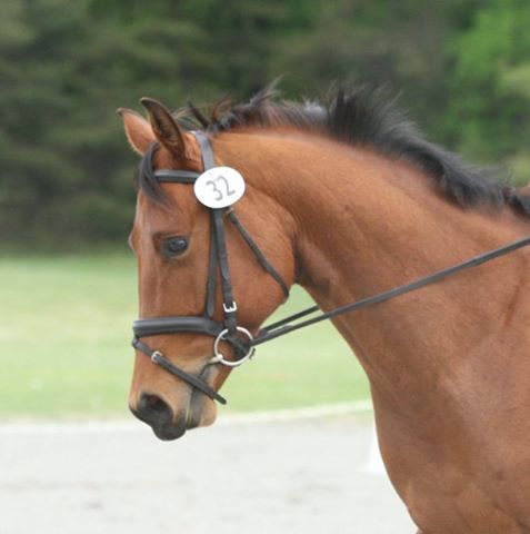 Little Hawk Farm - Crozier , United States