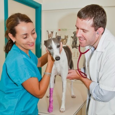 Cheltenham Veterinary Clinic - Cheltenham , Australia