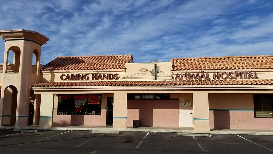 Caring Hands Animal Hospital - Las Vegas , United States