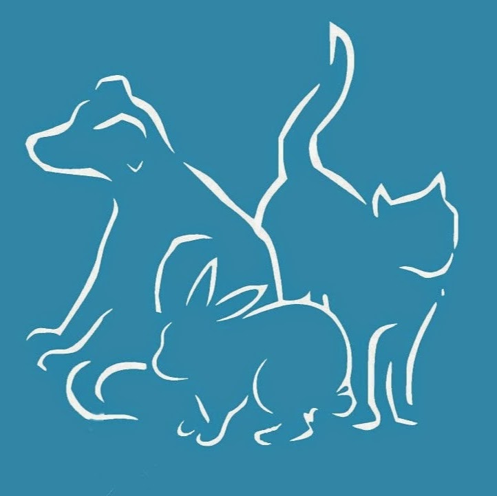 Weston Village Vets - Bath , United Kingdom