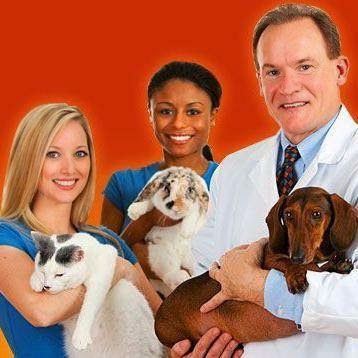Country Ridge Animal Hospital - Farmington Hills , United States