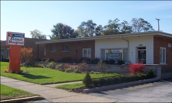 Lansing Animal Hospital - Lansing , United States