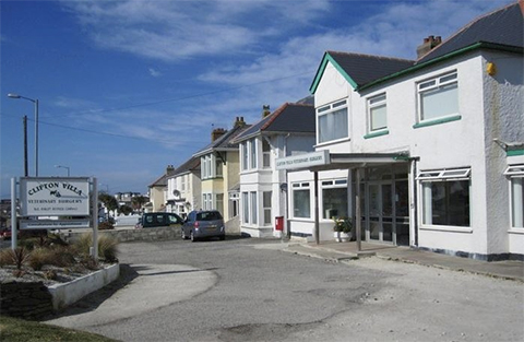 Clifton Villa Veterinary Surgery Newquay - Newquay , United Kingdom