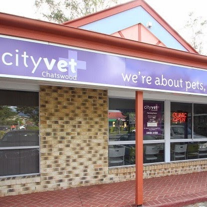 Cityvet Chatswood Hills - Springwood , Australia