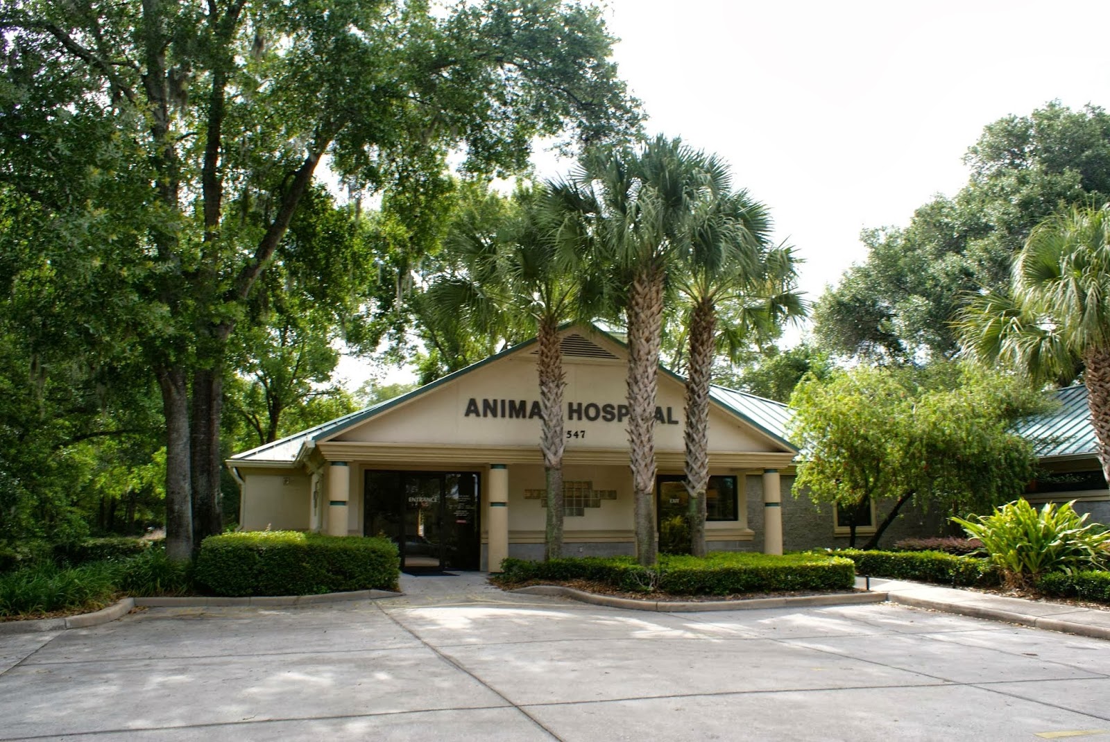 Vca Sheeler Road Animal Hospital - Apopka , United States