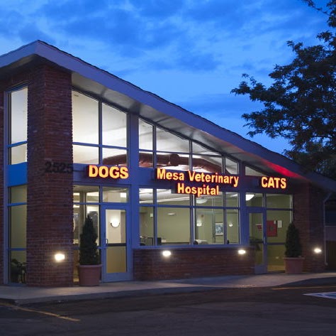 Mesa Veterinary Hospital - Golden , United States