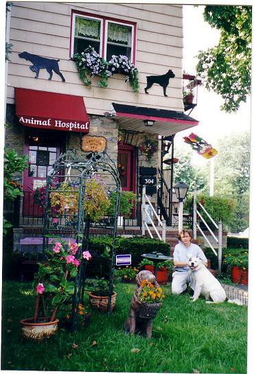 Chester Pike Animal Hospital - Glenolden , United States