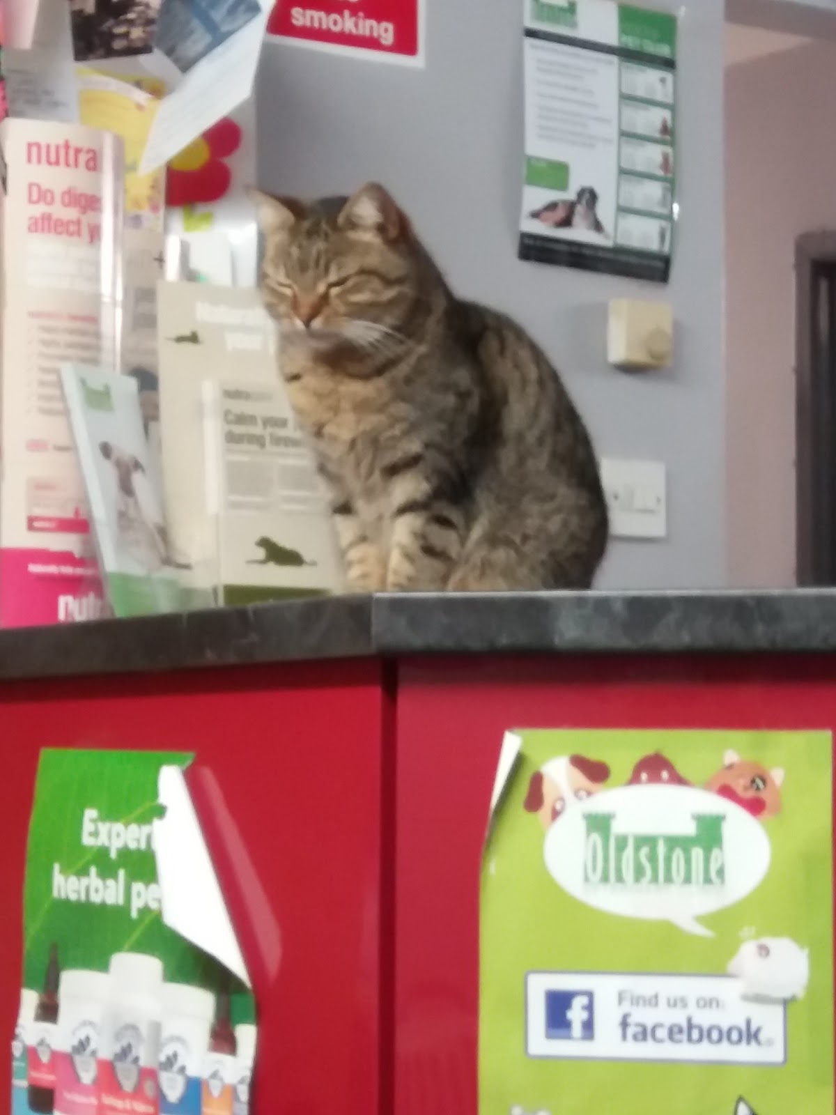 Oldstone Veterinary Clinic - Ballymena , United Kingdom