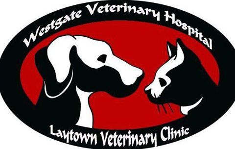 Laytown Veterinary Clinic - Laytown , Ireland
