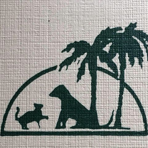 Oviedo Animal Hospital - Oviedo , United States