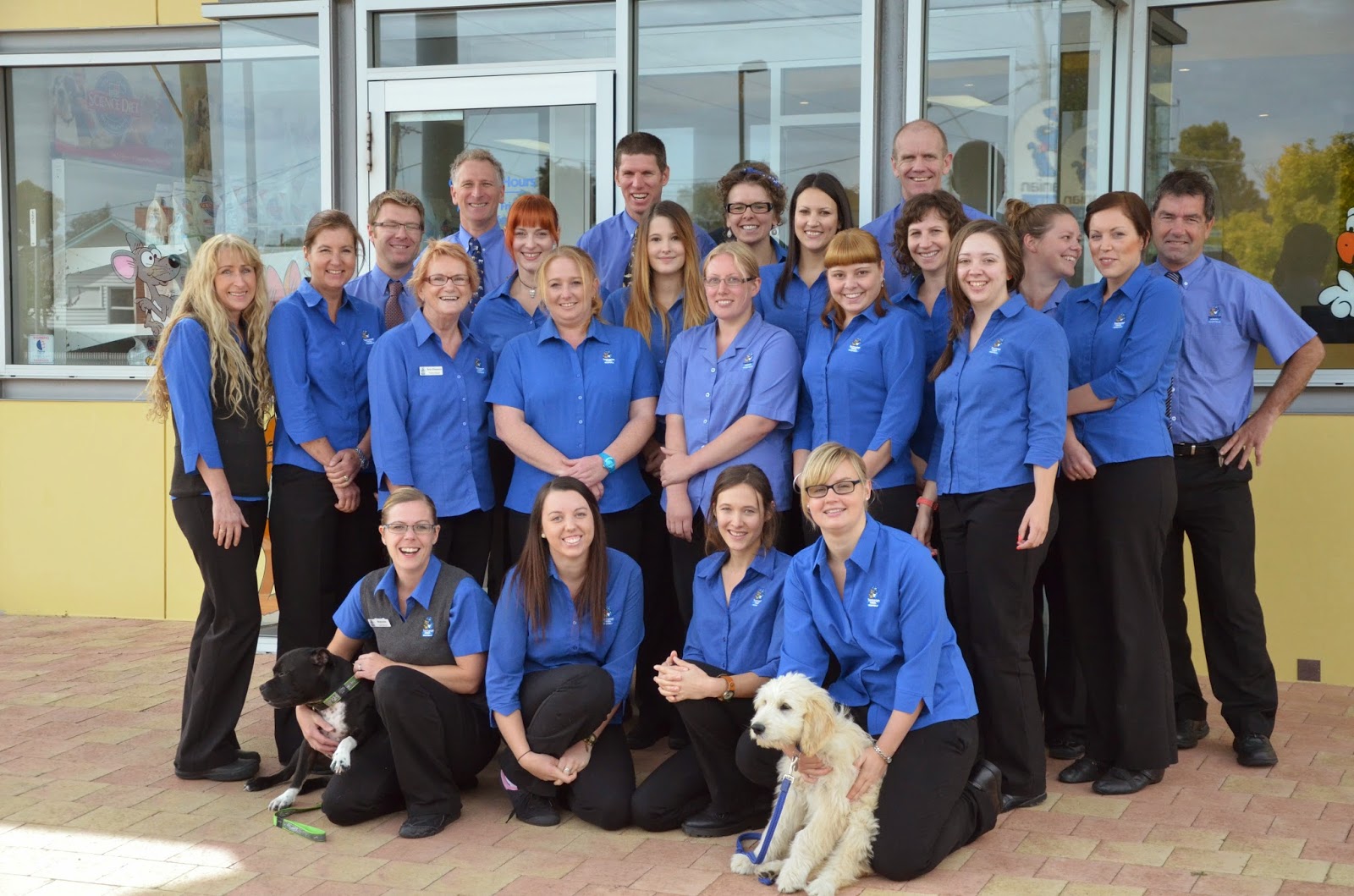 Tasmanian Veterinary Hospitals - Bellerive , Australia