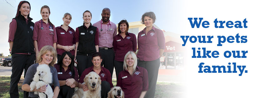 Caroline Springs Veterinary Hospital - Caroline Springs , Australia