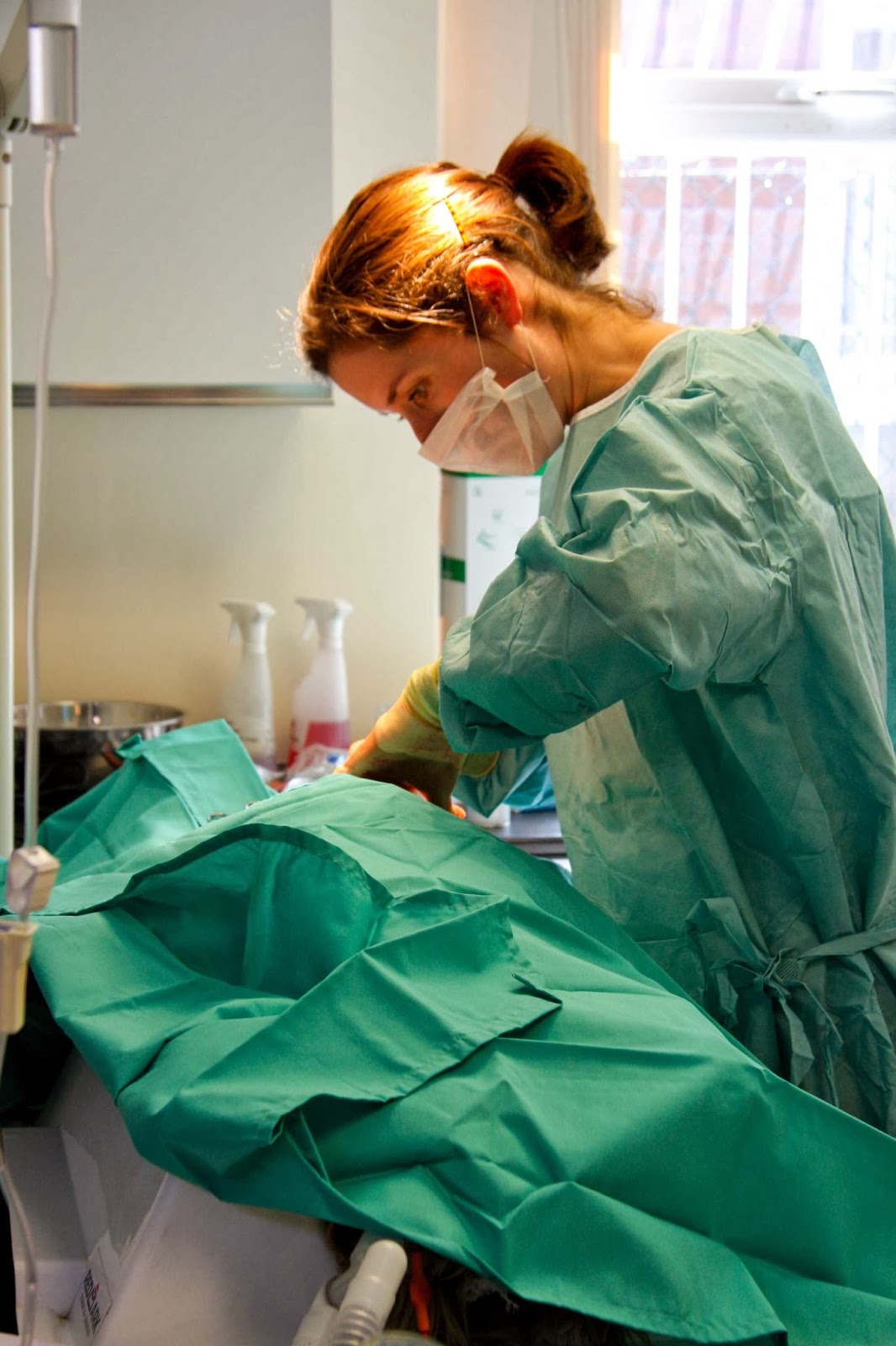 Clarendon Veterinary Surgery - Altrincham , United Kingdom