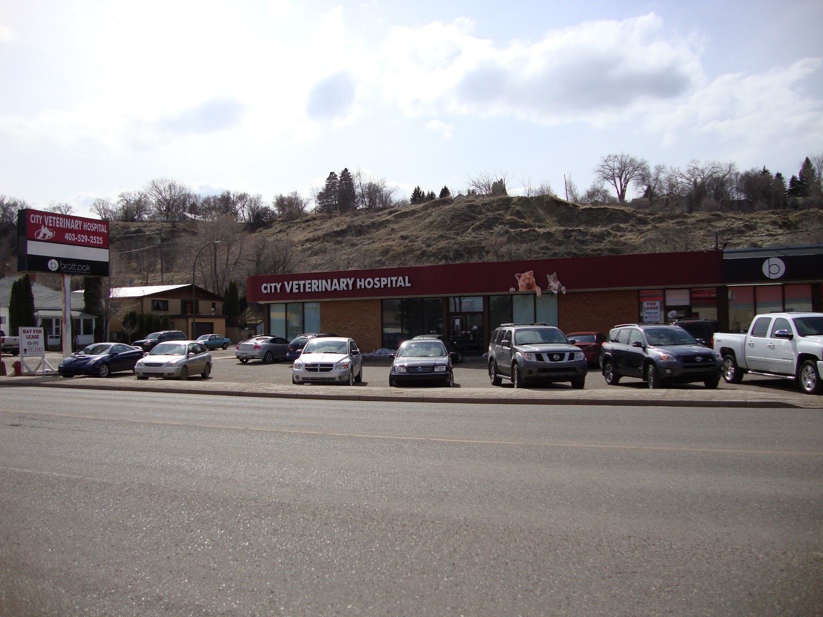 City Veterinary Hospital - Medicine Hat , Canada