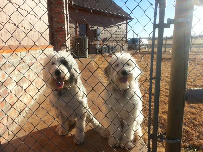 Rockwell Pet Clinic - Oklahoma City , United States
