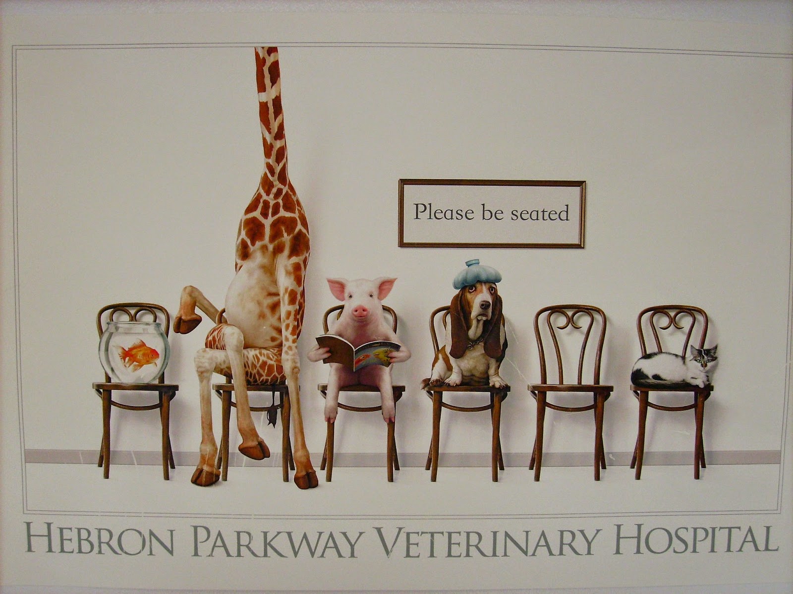 Hebron Parkway Veterinary Hospital - Carrollton , United States