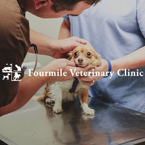 Fourmile Veterinary Clinic - Cañon City , United States