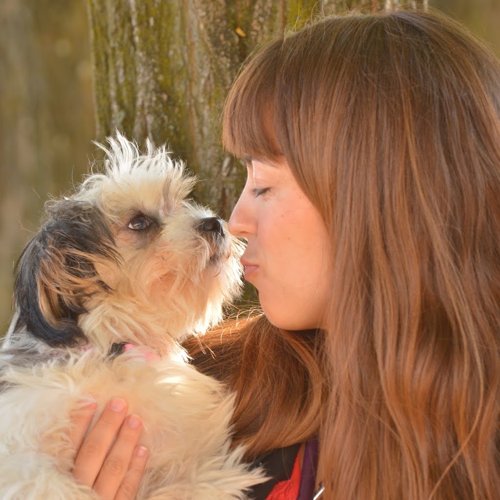 Aldergrove Animal Hospital - Aldergrove , Canada