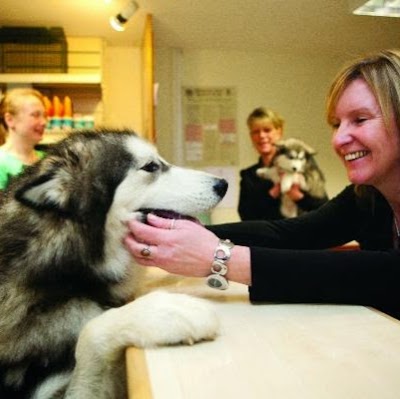 Ardmore Vets - Sudbury , United Kingdom