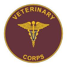 Fort Sill Veterinary Clinic - Lawton , United States