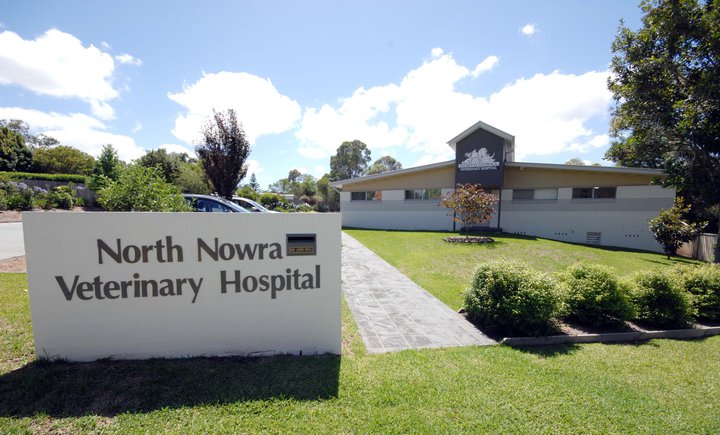 North Nowra Veterinary Hospital - North Nowra , Australia