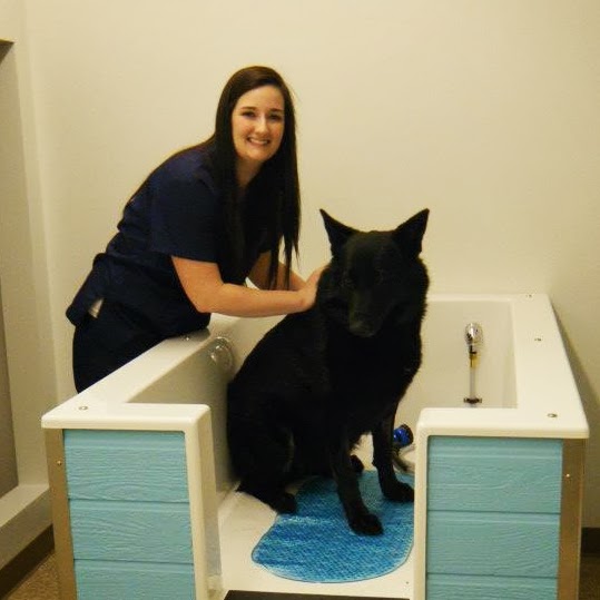 Paws Animal Hospital - Lebanon , United States