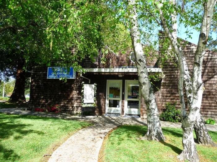 Vca Greenhaven Pocket Animal Hospital - Sacramento , United States