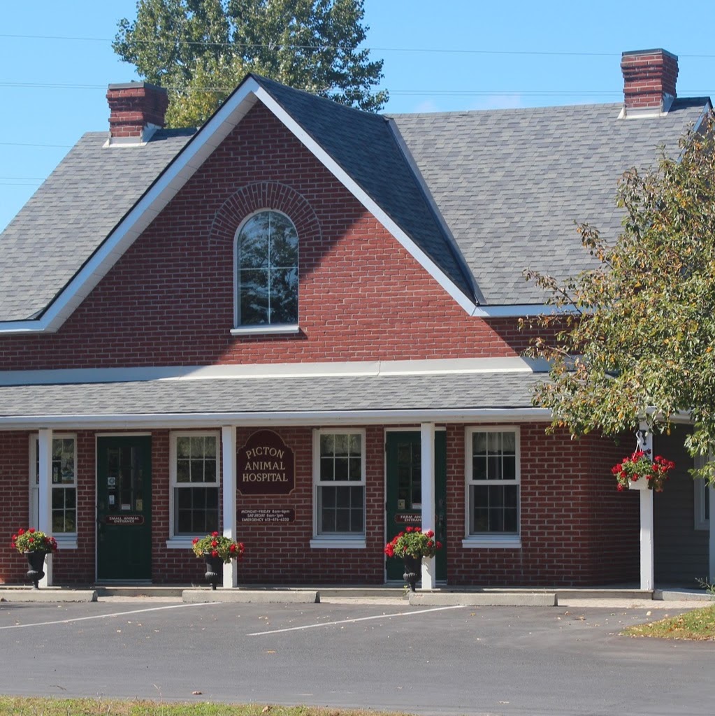Picton Animal Hospital - Picton , Canada