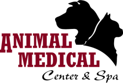 Animal Medical Center And Spa - Miami , United States