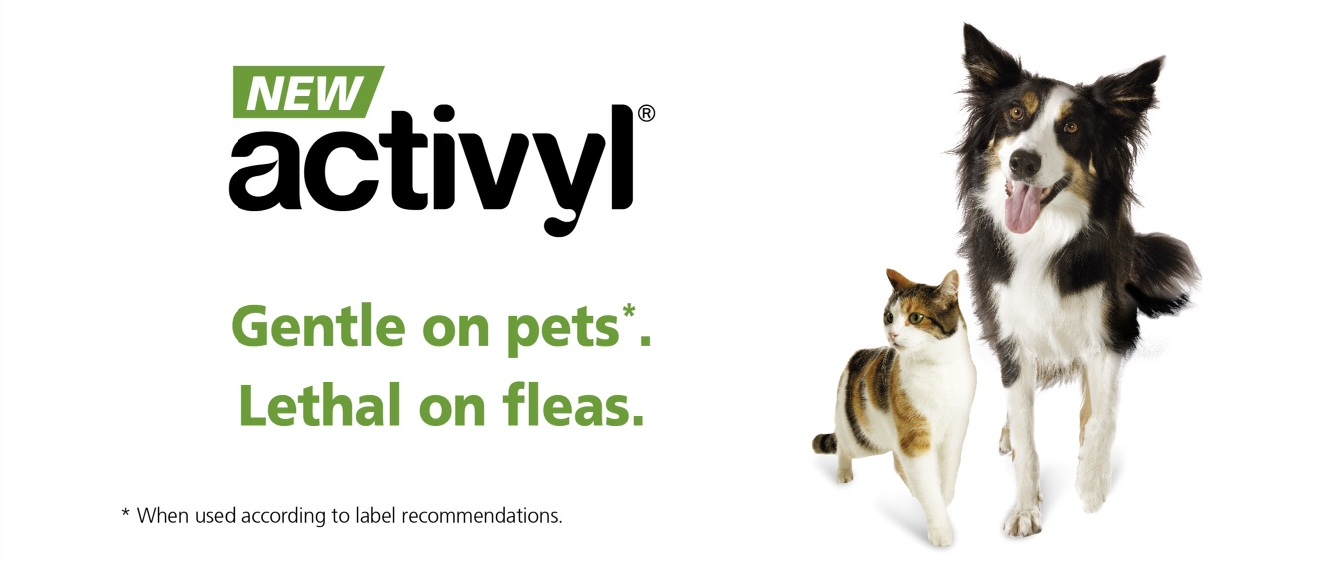 Bellarine Veterinary Practice Drysdale - Drysdale , Australia