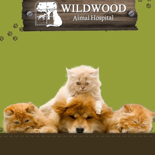 Wildwood Animal Hospital - Portland , United States