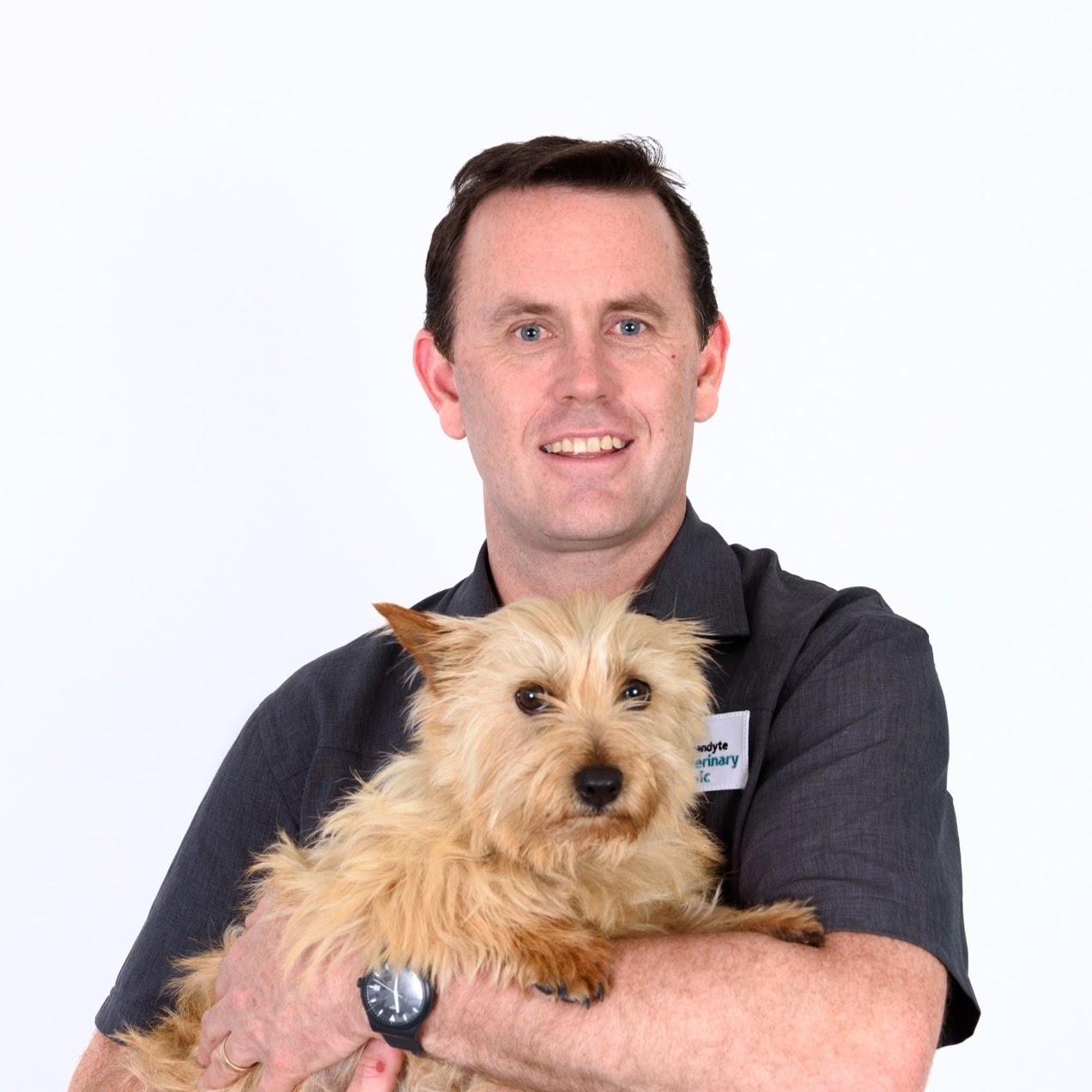 Warrandyte Veterinary Clinic - Warrandyte , Australia