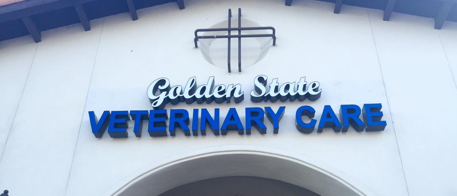 Golden State Veterinary Care - Castaic , United States