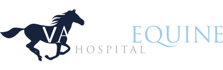 Valley Equine Hospital - Hungerford , United Kingdom